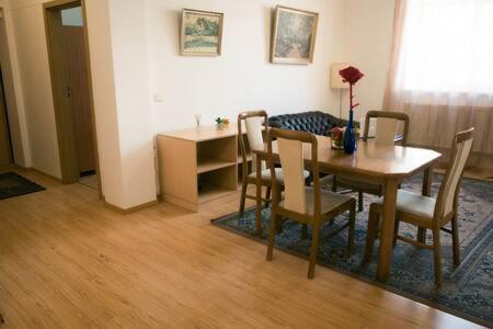 Town Hall 3 Bedroom Apartment Βίλνιους Εξωτερικό φωτογραφία